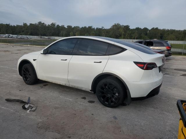 5YJYGDEE4MF195473 - 2021 TESLA MODEL Y WHITE photo 2