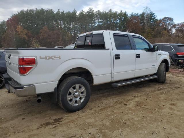 1FTFW1ET8BFC99089 - 2011 FORD E-150 SUPERCREW WHITE photo 3