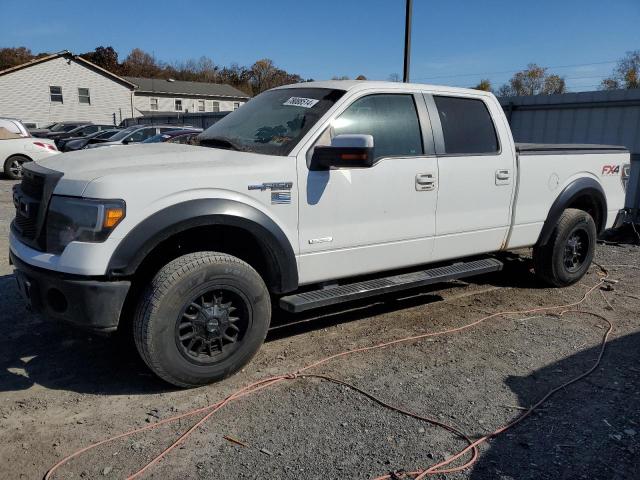 1FTFW1ET8DKG38069 - 2013 FORD F150 SUPERCREW WHITE photo 1