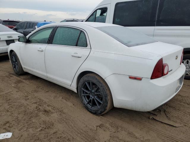 1G1ZA5EB7A4105259 - 2010 CHEVROLET MALIBU LS WHITE photo 2