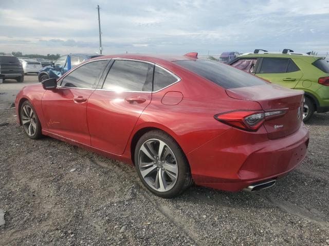 19UUB6F62MA003994 - 2021 ACURA TLX ADVANCE RED photo 2