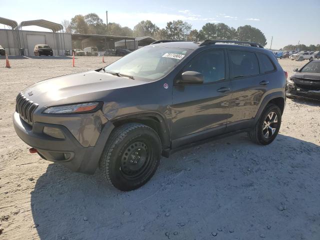 1C4PJMBS8EW138925 - 2014 JEEP CHEROKEE TRAILHAWK GRAY photo 1