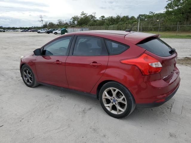 1FADP3K24DL112453 - 2013 FORD FOCUS SE BURGUNDY photo 2