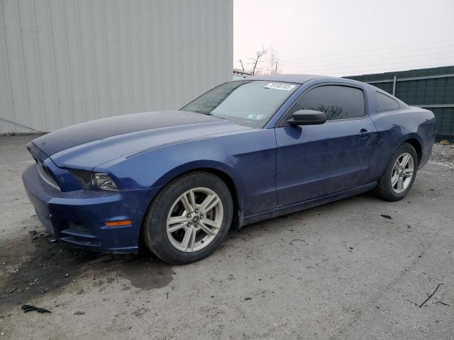 1ZVBP8AM2E5282184 - 2014 FORD MUSTANG BLUE photo 1