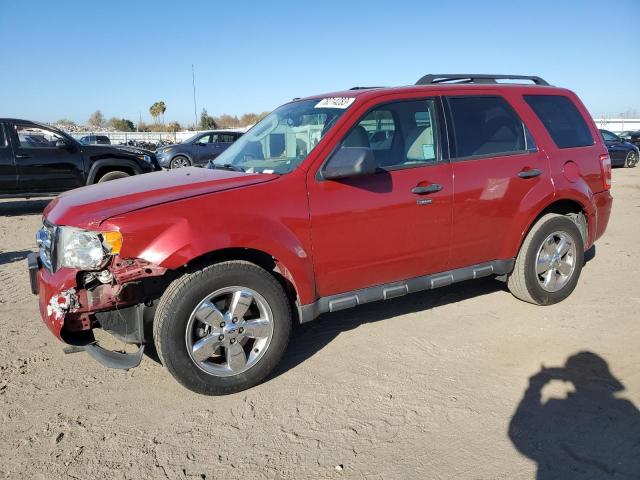 1FMCU0DG4BKB84421 - 2011 FORD ESCAPE XLT BURGUNDY photo 1