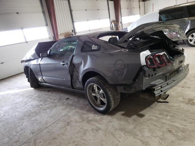 1ZVBP8AMXD5279662 - 2013 FORD MUSTANG GRAY photo 2