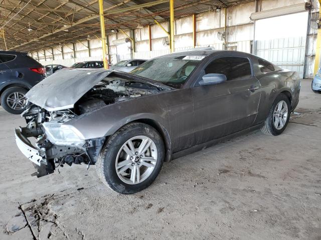 1ZVBP8AM9E5281436 - 2014 FORD MUSTANG GRAY photo 1