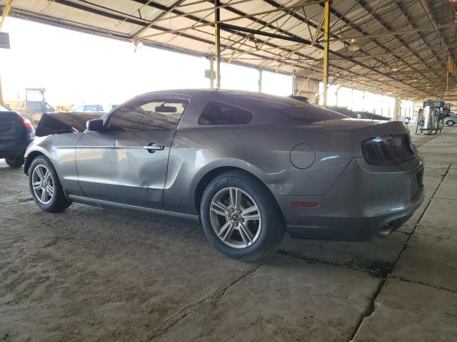 1ZVBP8AM9E5281436 - 2014 FORD MUSTANG GRAY photo 2