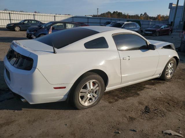 1ZVBP8AM7E5295979 - 2014 FORD MUSTANG WHITE photo 3