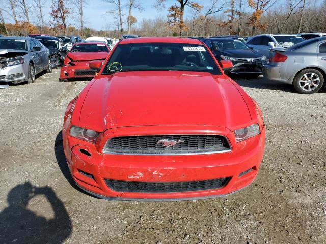 1ZVBP8AM3D5240721 - 2013 FORD MUSTANG RED photo 5