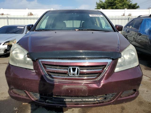 5FNRL38747B428666 - 2007 HONDA ODYSSEY EXL BURGUNDY photo 5