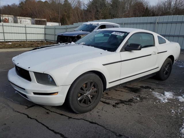 1ZVFT80N865156873 - 2006 FORD MUSTANG WHITE photo 1