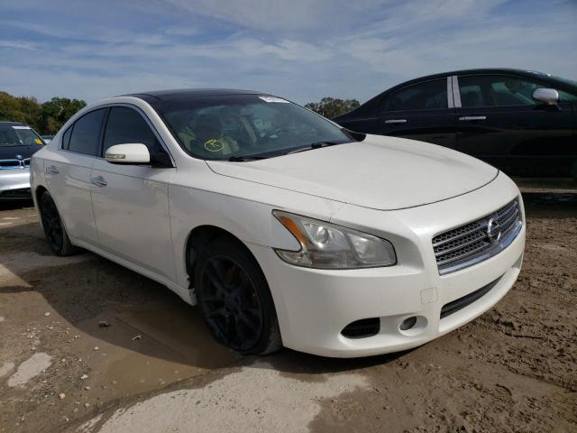 1N4AA51E79C849343 - 2009 NISSAN MAXIMA S WHITE photo 4