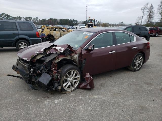 1N4AA5AP8AC850734 - 2010 NISSAN MAXIMA S BURGUNDY photo 1