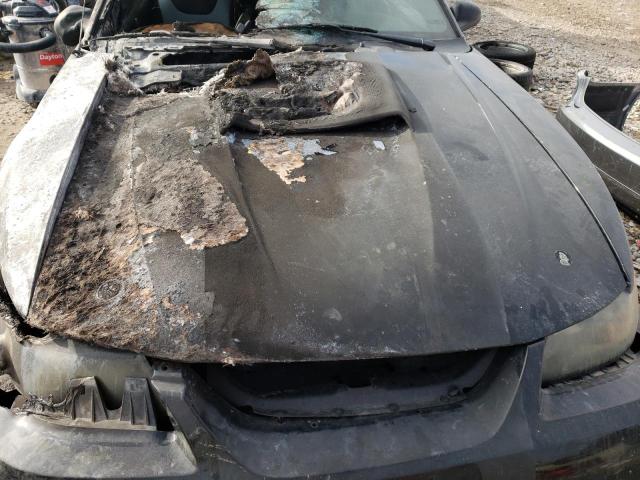 1FAFP45X83F369019 - 2003 FORD MUSTANG GT BURN photo 11