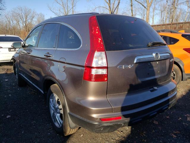 5J6RE4H73AL096427 - 2010 HONDA CR-V EXL GRAY photo 2