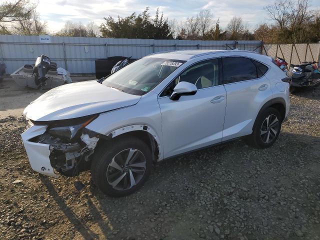 JTJBARBZ2K2181662 - 2019 LEXUS NX 300 BASE Ağ foto 1