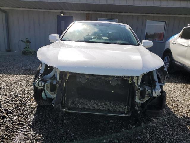 1HGCR3F81EA036705 - 2014 HONDA ACCORD EXL WHITE photo 5