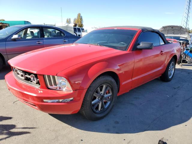 1ZVHT84N685134568 - 2008 FORD MUSTANG RED photo 1