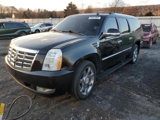 1GYS4JEF3BR136731 - 2011 CADILLAC ESCALADE ESV PREMIUM BLACK photo 1