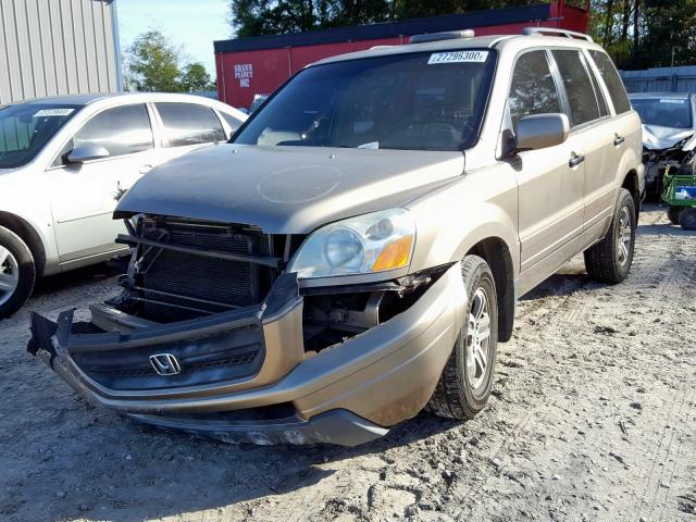 2HKYF18443H533393 - 2003 HONDA PILOT EX GOLD photo 2