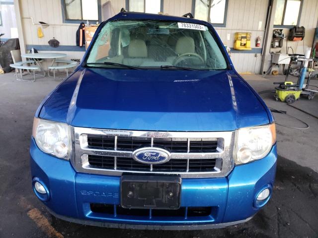 1FMCU9D74BKA63425 - 2011 FORD ESCAPE XLT BLUE photo 5