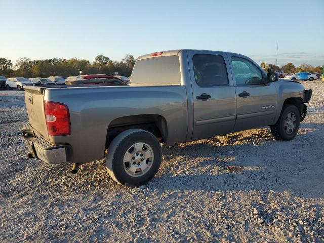 3GCPCSE04DG182863 - 2013 CHEVROLET SILVERADO C1500 LT GRAY photo 3