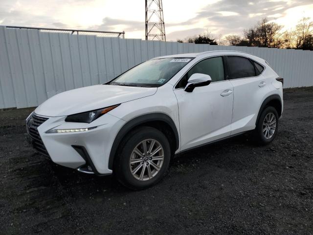 JTJDARDZ2M5027427 - 2021 LEXUS NX 300 BASE Ağ foto 1