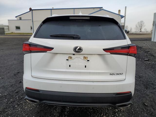 JTJDARDZ2M5027427 - 2021 LEXUS NX 300 BASE Ağ foto 6