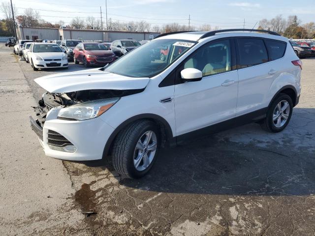 2014 FORD ESCAPE SE, 