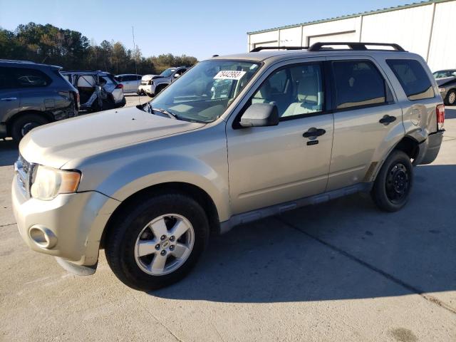 2010 FORD ESCAPE XLT, 