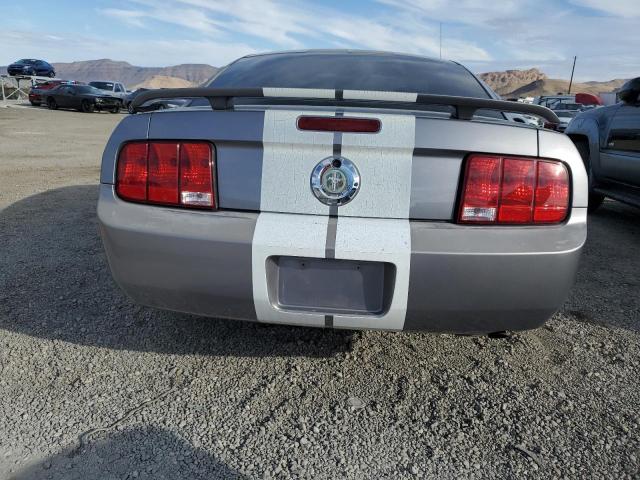 1ZVHT80N465256624 - 2006 FORD MUSTANG SILVER photo 6