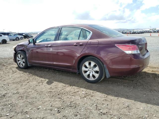 JHMCP26748C039482 - 2008 HONDA ACCORD EX MAROON photo 2