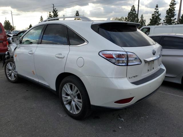 JTJBC1BA6A2013091 - 2010 LEXUS RX 450 WHITE photo 2