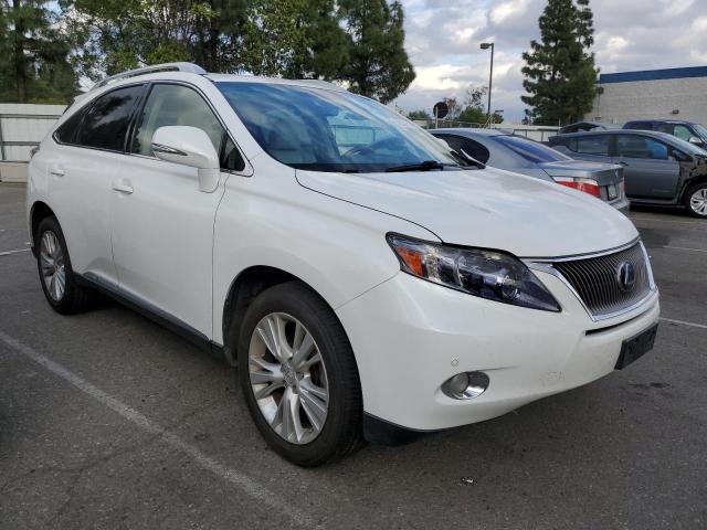 JTJBC1BA6A2013091 - 2010 LEXUS RX 450 WHITE photo 4