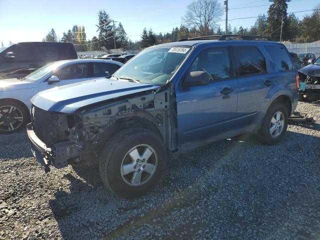 2009 FORD ESCAPE XLT, 