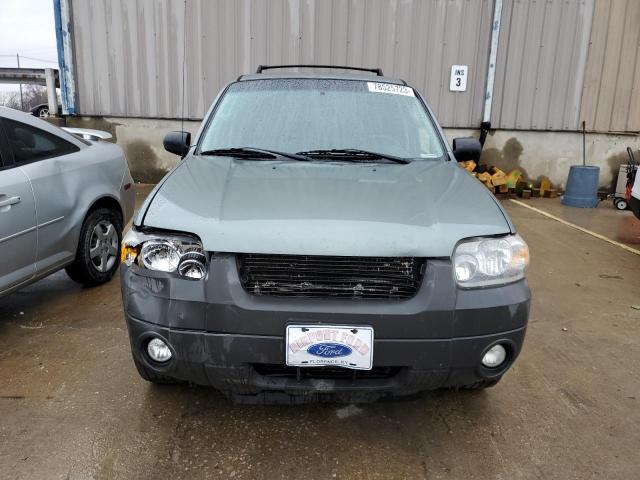 1FMYU03167KB18317 - 2007 FORD ESCAPE XLT GREEN photo 5