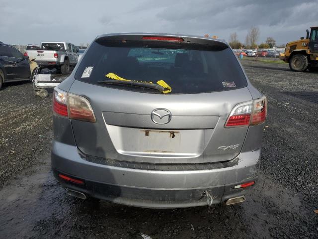 JM3TB2MA5A0230020 - 2010 MAZDA CX-9 SILVER photo 6