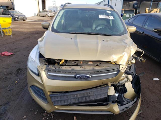 1FMCU9G92EUD08938 - 2014 FORD ESCAPE SE GOLD photo 5