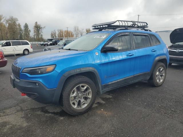 1C4PJMBX0KD169282 - 2019 JEEP CHEROKEE TRAILHAWK BLUE photo 1