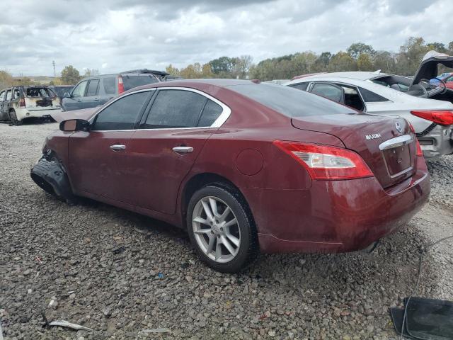 1N4AA5AP3AC843481 - 2010 NISSAN MAXIMA S BURGUNDY photo 2