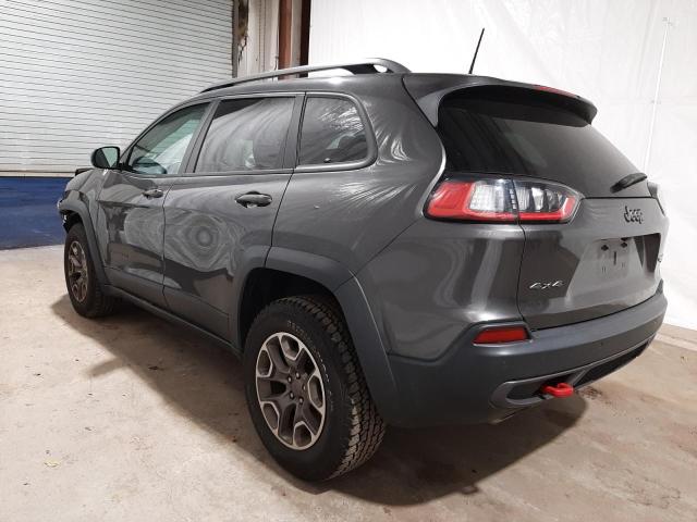 1C4PJMBX8LD652150 - 2020 JEEP CHEROKEE TRAILHAWK GRAY photo 2