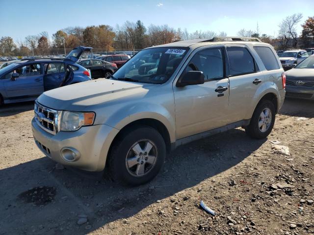 2010 FORD ESCAPE XLT, 