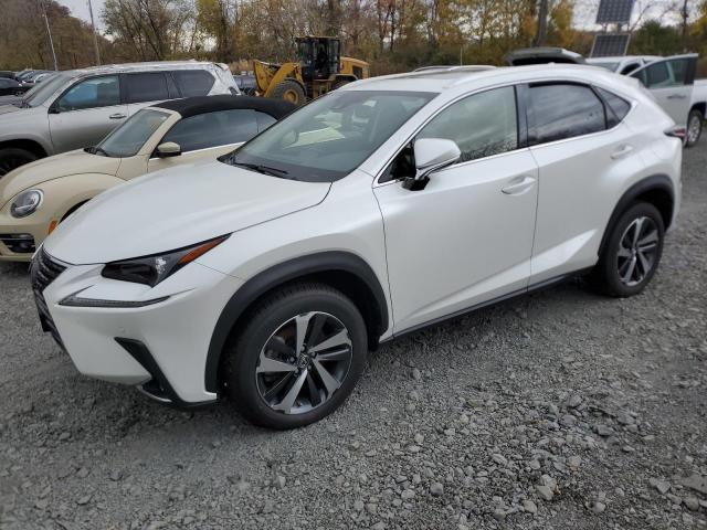 JTJGARDZ8L2218377 - 2020 LEXUS NX 300 WHITE photo 1