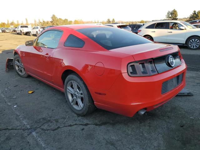 1ZVBP8AM7D5224280 - 2013 FORD MUSTANG RED photo 2
