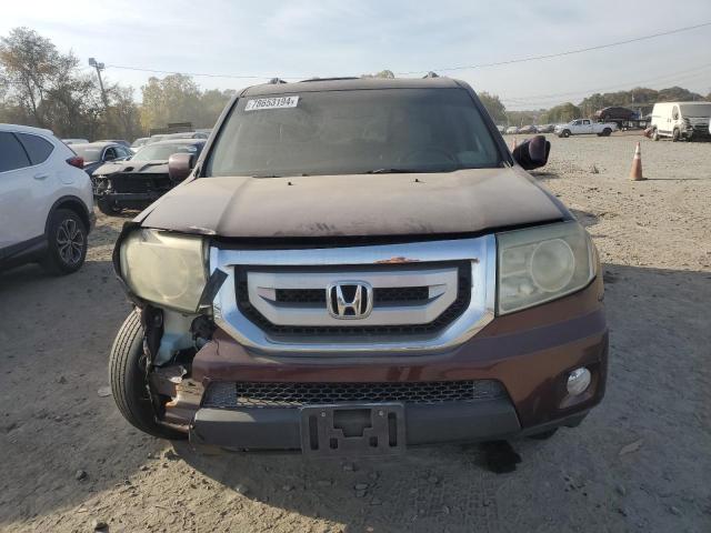 5FNYF3H64BB027721 - 2011 HONDA PILOT EXL BURGUNDY photo 5