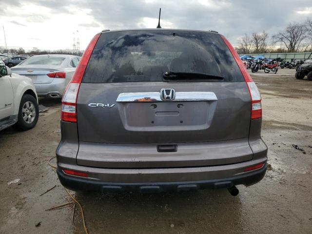 3CZRE3H53AG703593 - 2010 HONDA CR-V EX GRAY photo 6