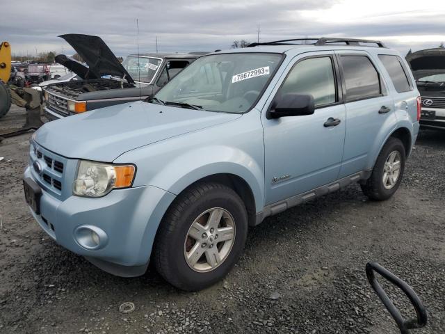 1FMCU49309KA69855 - 2009 FORD ESCAPE HYBRID BLUE photo 1