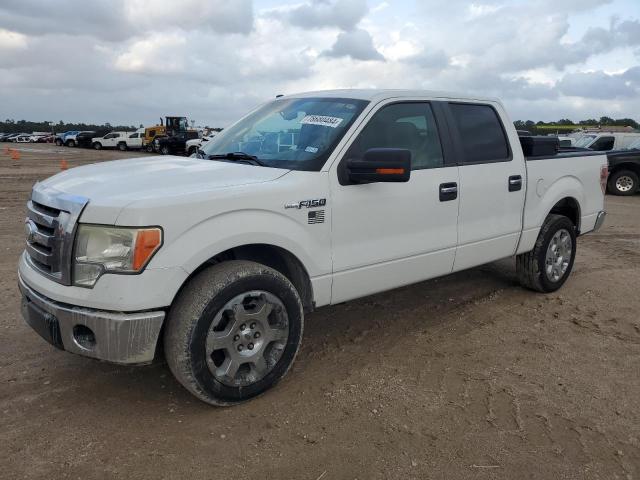 2009 FORD F150 SUPERCREW, 