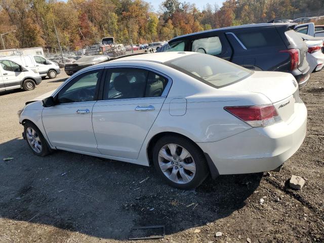 1HGCP36888A028188 - 2008 HONDA ACCORD EXL WHITE photo 2